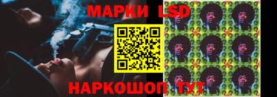 сатива Ставрополь