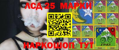 сатива Ставрополь
