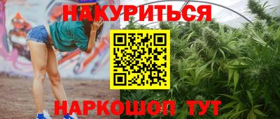 сатива Ставрополь